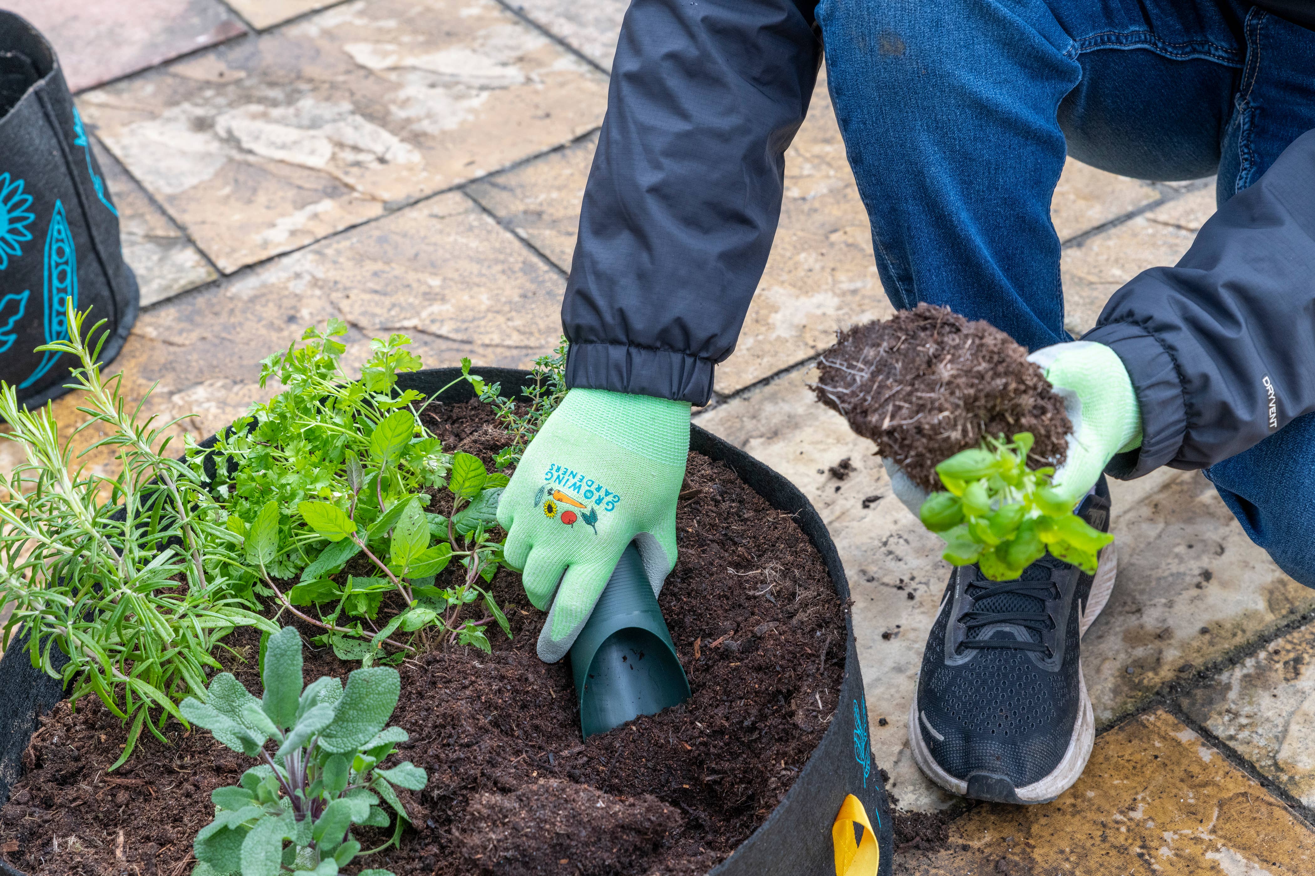 Burgon and Ball – wholesale Garden tool – NEW Growing Gardeners Soil Scoop (Set of 3)3