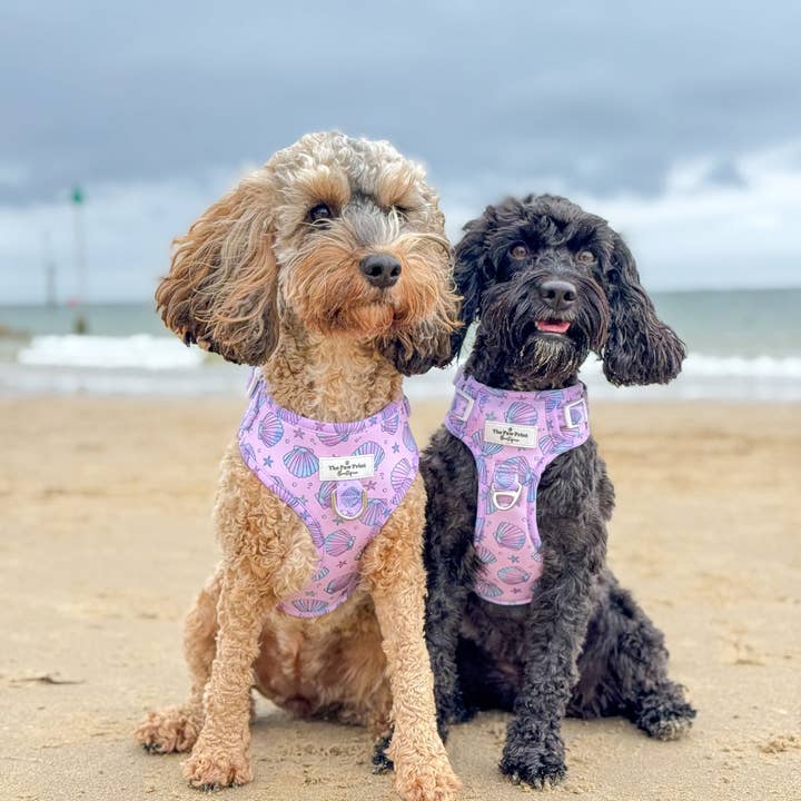 The Paw Print Boutique - Wholesale Pet Harness - Dog - Mermaids Tails Adventure Paws Harness11