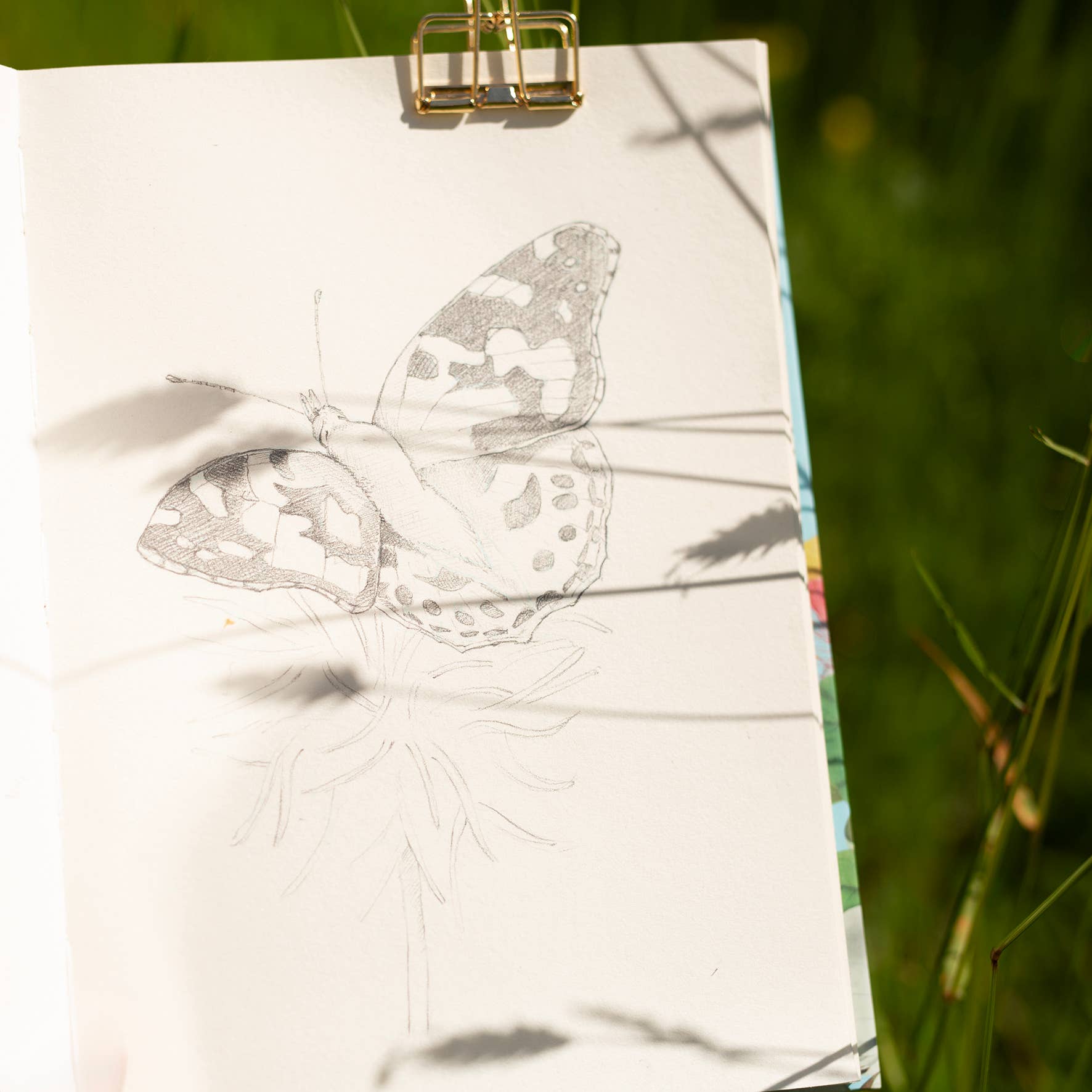 West Design Products UK – wholesale Sketchbook/sketchpad – RHS 160 Page Hardbound Sketchbook (110gsm), A5, Bird Scene6