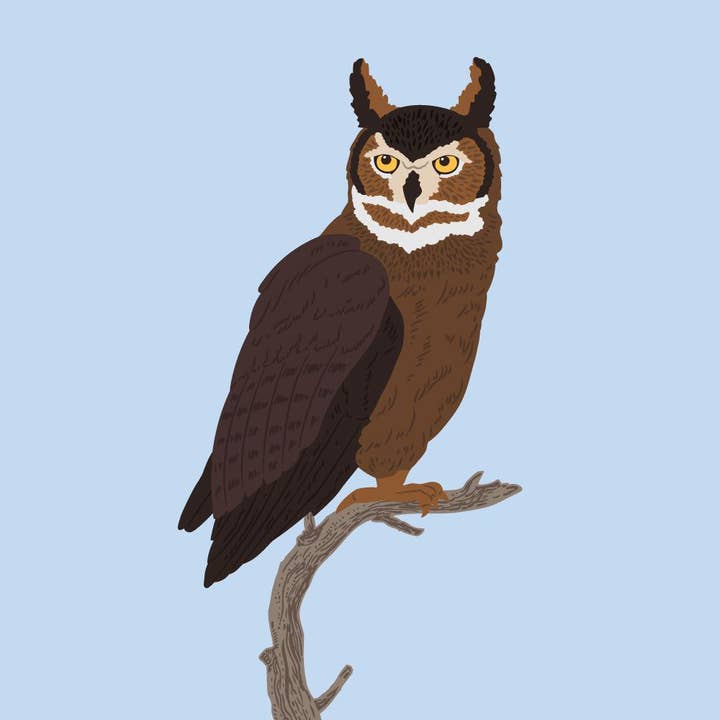 Couches Ravissantes : Hibou - Découpes Miel - Matrices Autonomes pour la vente par Honey Bee Stamps