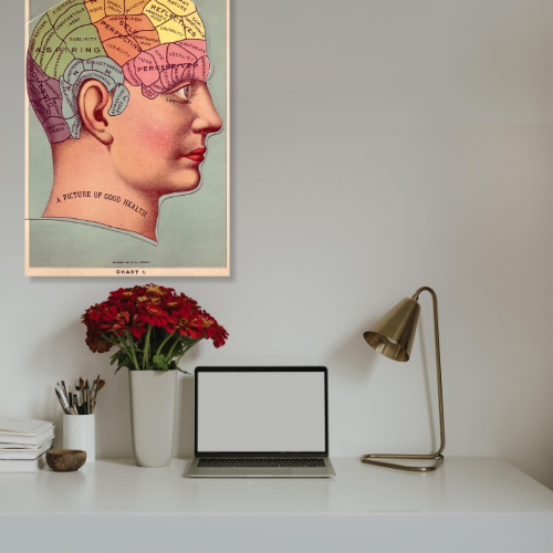 Barbara Decor – wholesale Poster – 16x24" Poster, Vintage Phrenology Poster Print, Brain Art7