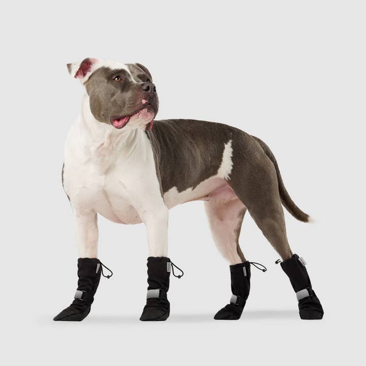 Canada Pooch - Wholesale Pet Boots - Dog - Soft Shield Boots- Dog Boots