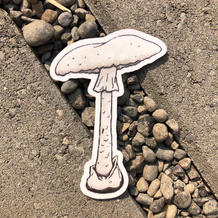 The Fungi Arcana - Vente Autocollant - Destroying Angel Mushroom - Autocollant en vinyle1