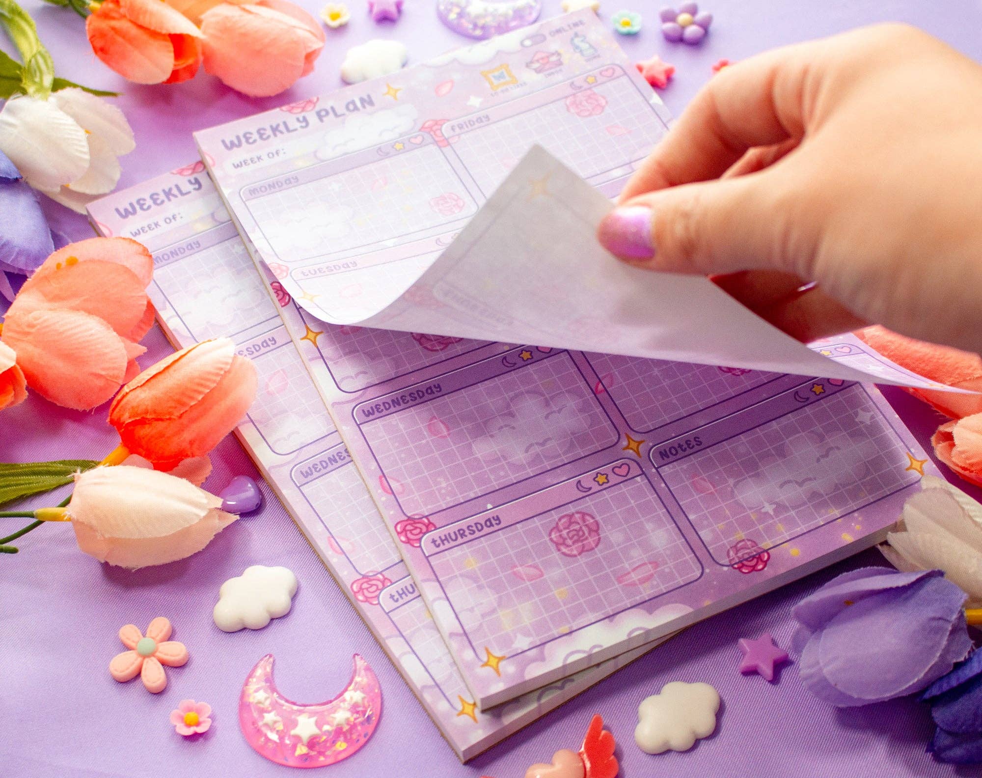 Unicorn Eclipse - Vente Agendas - Bloc-notes hebdomadaire Pastel Academia1