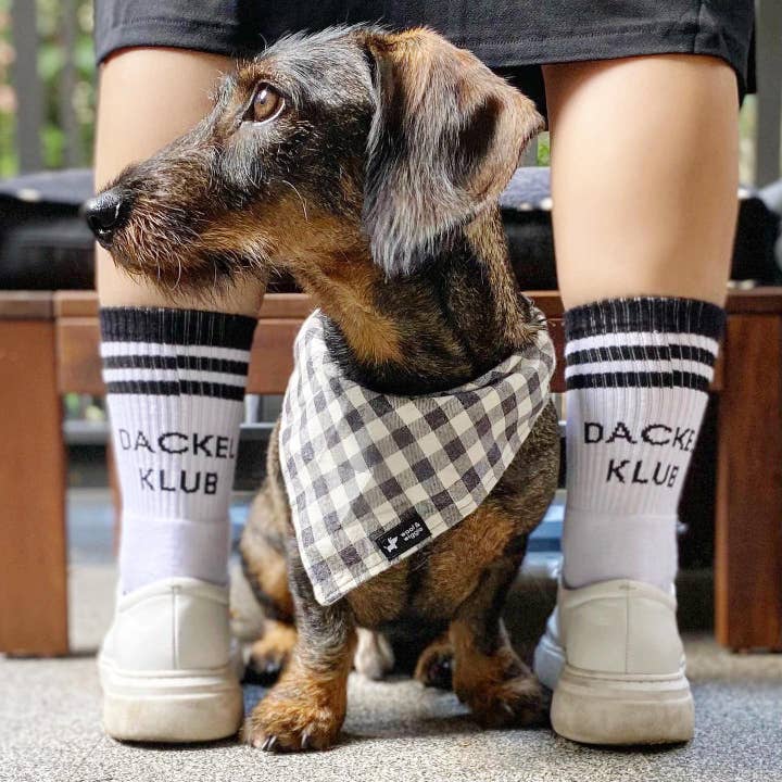 woof & wiggle - Venta al por mayor Calcetines - Unisex - Calcetines «Dachshund Club»