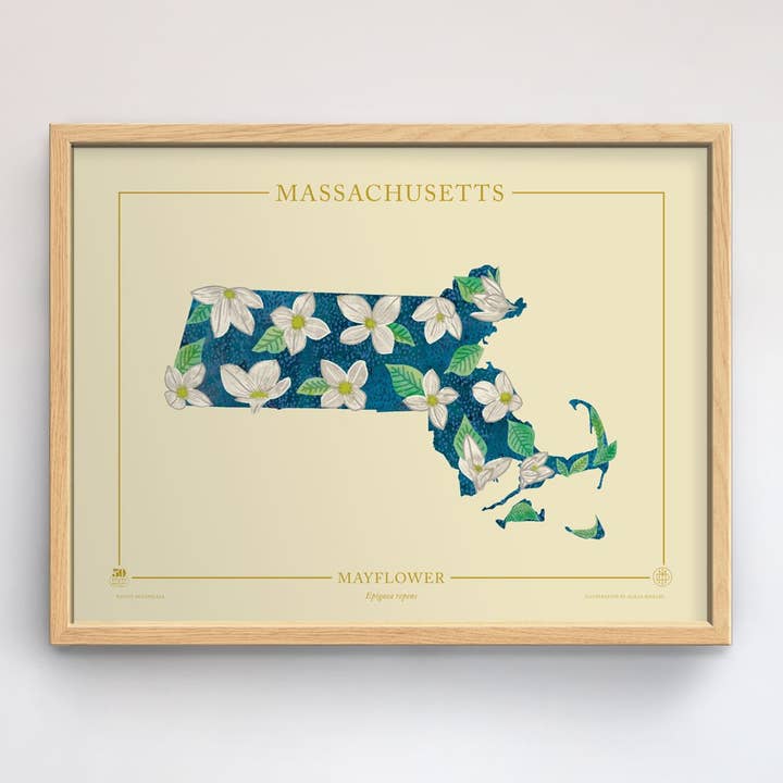 Massachusetts Native Botanicals Print for wholesale by 50 States of Beauty
