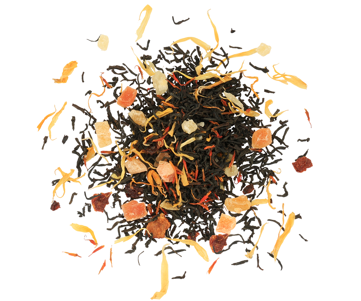 Basilur Benelux Premium Tea - Wholesale Tea Bags - Volume Book 2 100g2