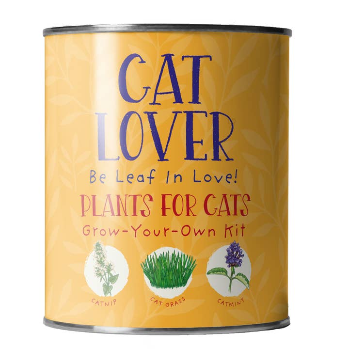 The Plant Gift Co. – wholesale Plant seeds – Cat Lovers. Eco Grow Your Own Plant Kit, Gardening Kit.1