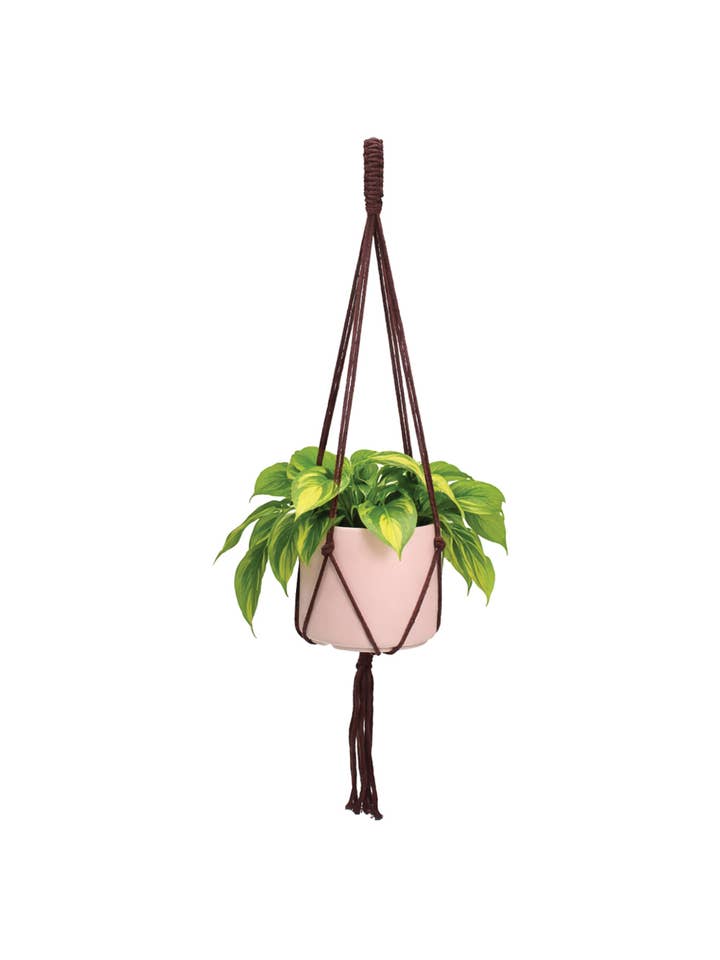 Simple Plant Hanger for wholesale by Soul of the Party