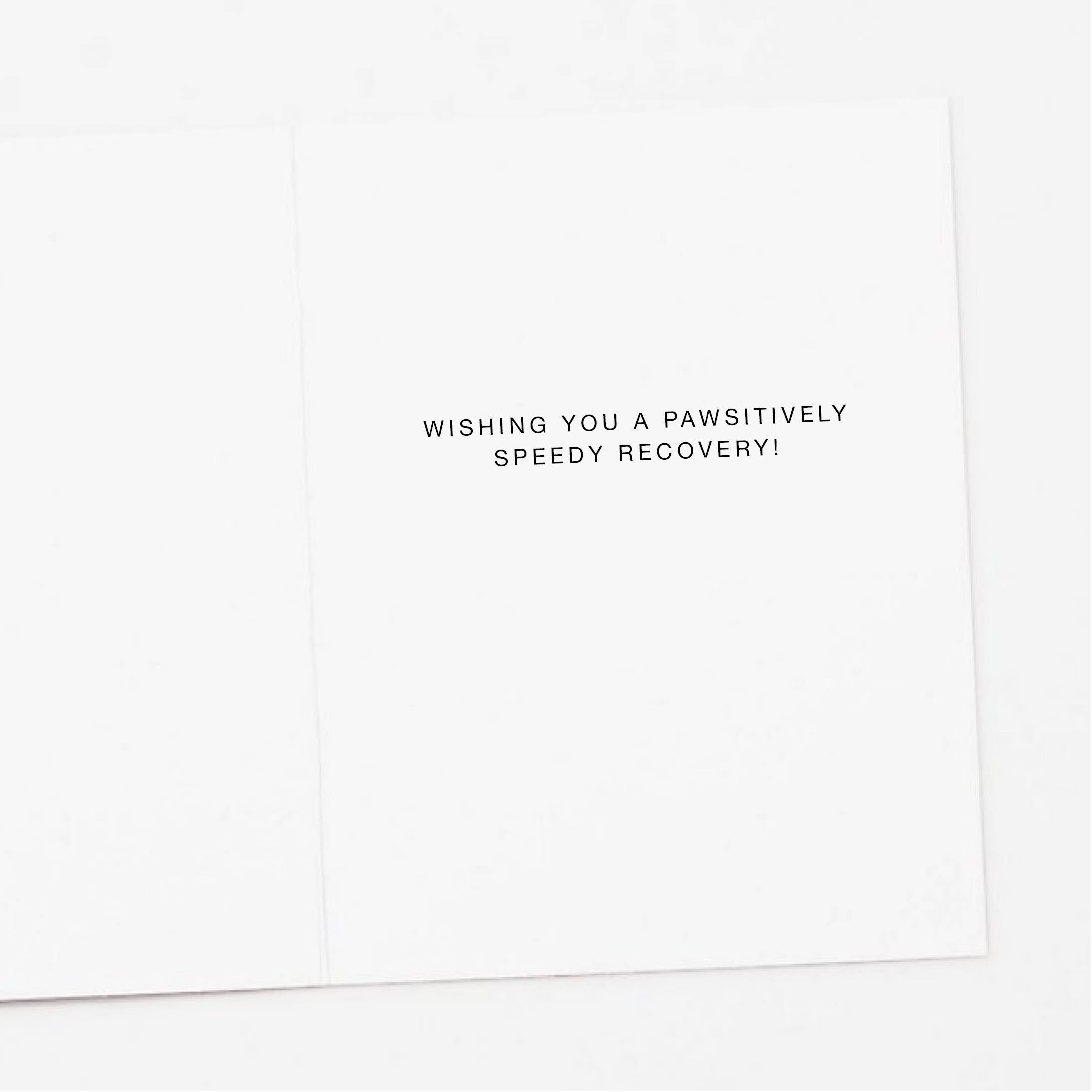 Apartment 2 Cards - Vente Carte de bon rétablissement - Carte de prompt rétablissement pour chien avec poche de glace1