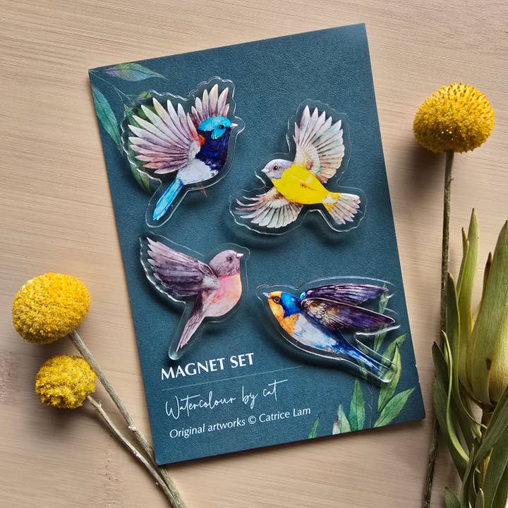 Watercolour By Cat - Wholesale Magnet - Australia Small Bird Acrylic Magnet Set – 4 Pack