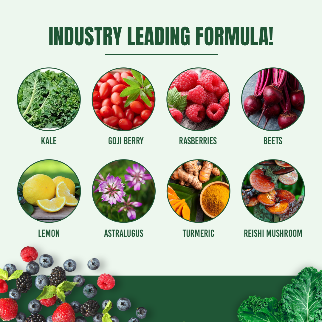 Integral Wellness - Wholesale Protein/Superfood Powder - Greens + Reds w/ Immune Support (35 Servings)3