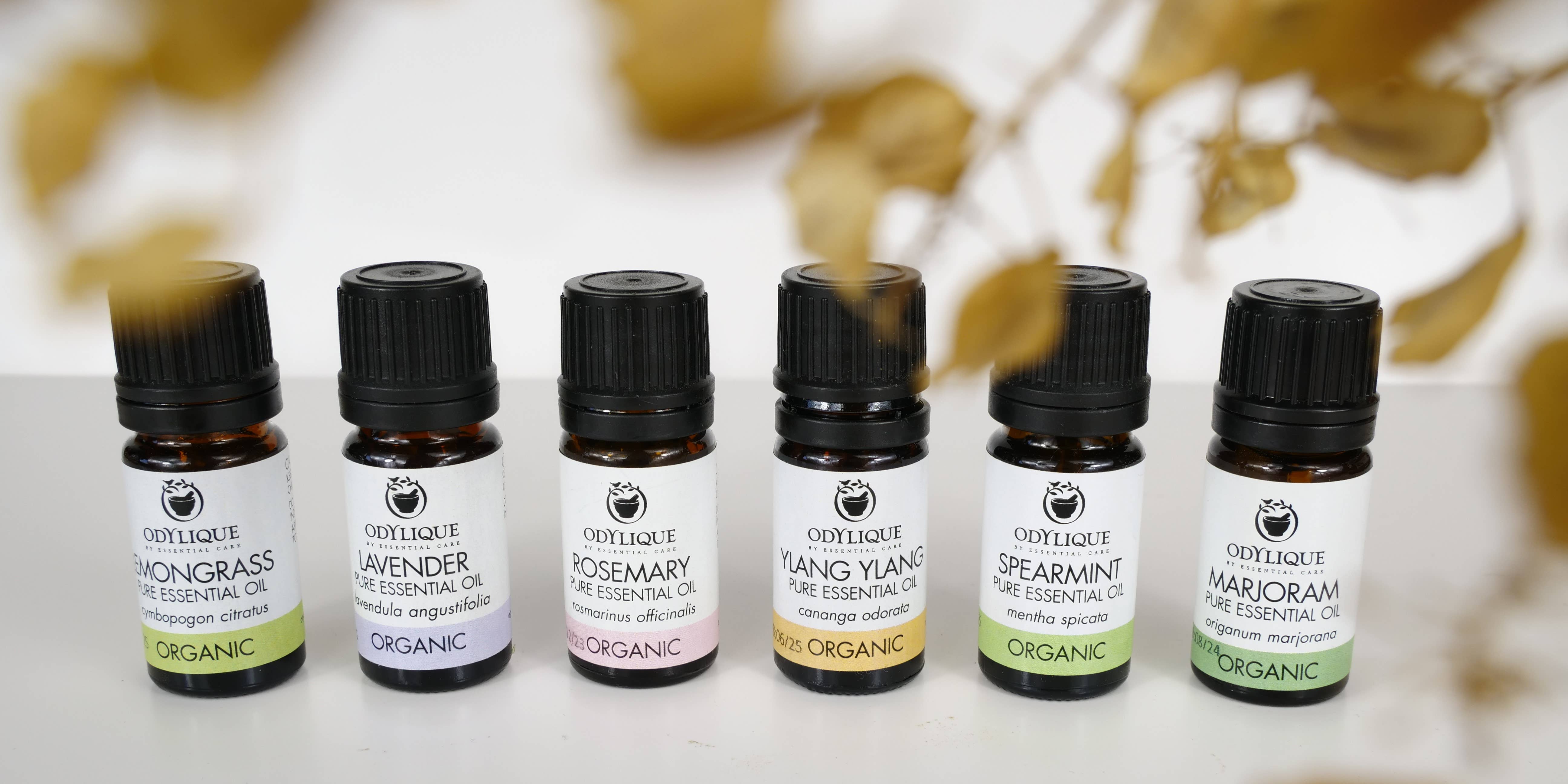 Odylique – wholesale Essential oil – Organic Essential Oils26