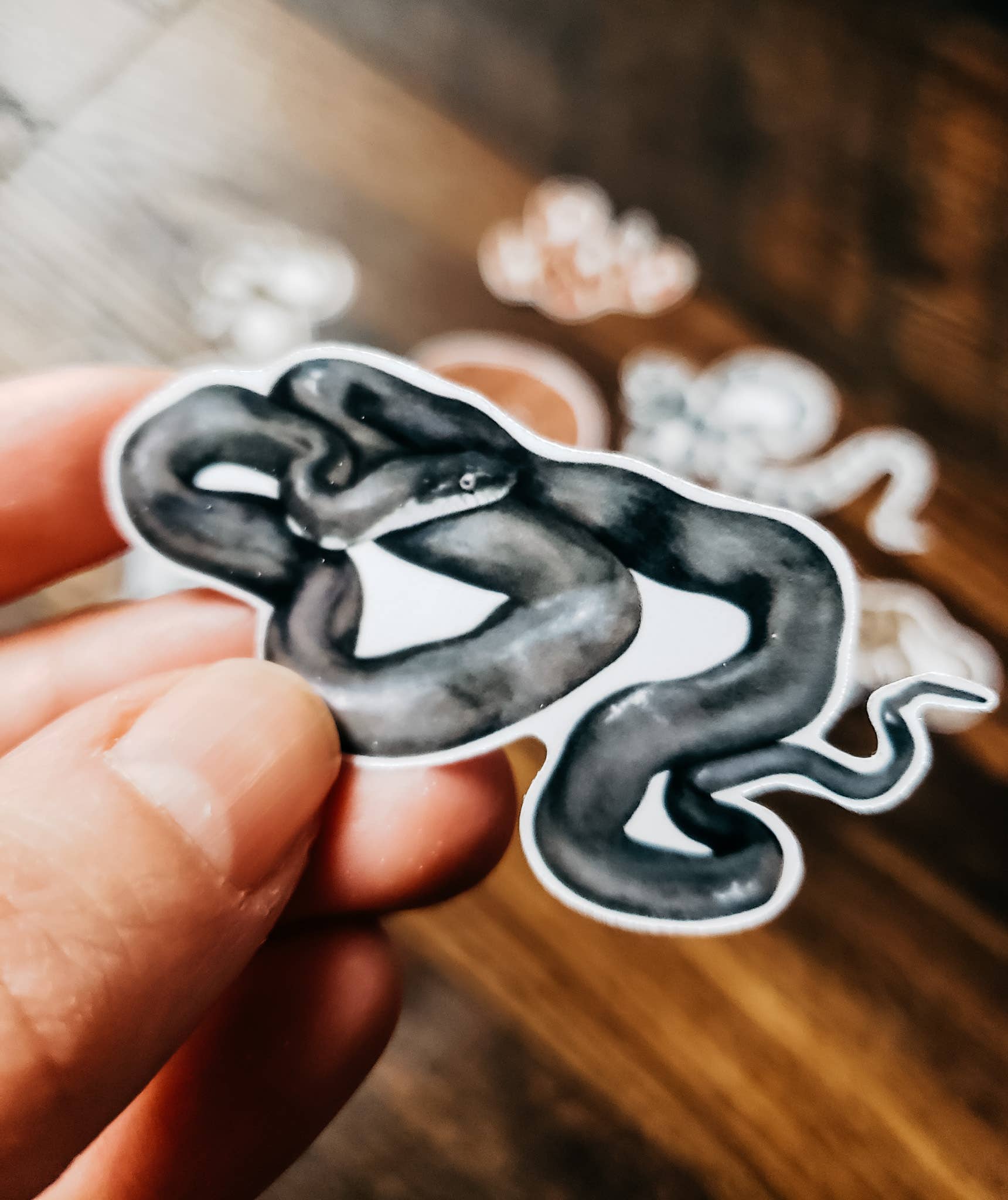 Stephanie Hathaway Designs – wholesale Sticker – Snake Sticker Pack, Set of 8 Matte Vinyl Stickers1