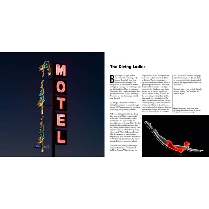Gibbs Smith - Wholesale Book - Adult - Neon Road Trip