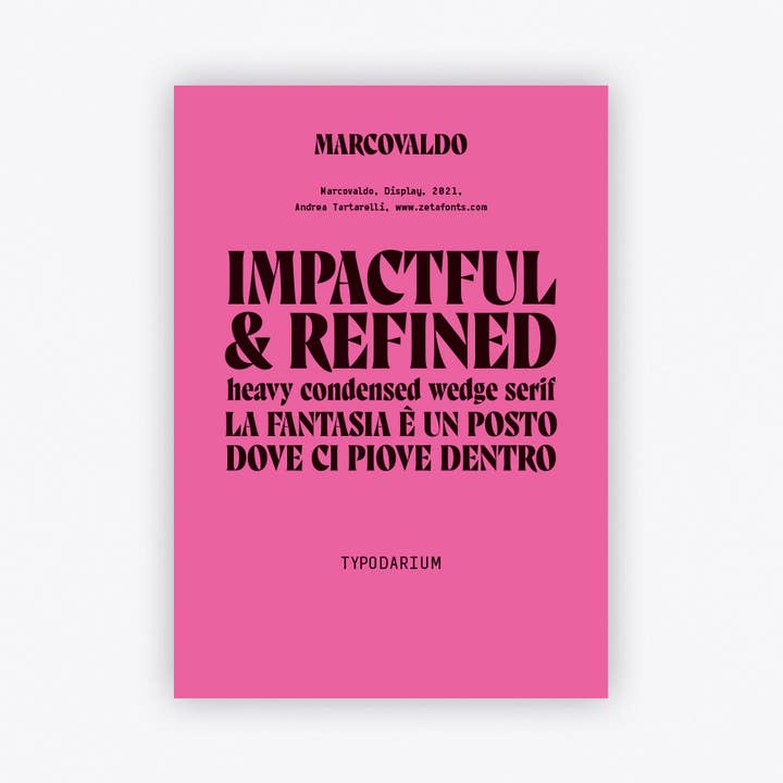 Verlag Hermann Schmidt – Calendário por atacado – Typodarium 2023 - Calendário tipográfico de 365 dias20