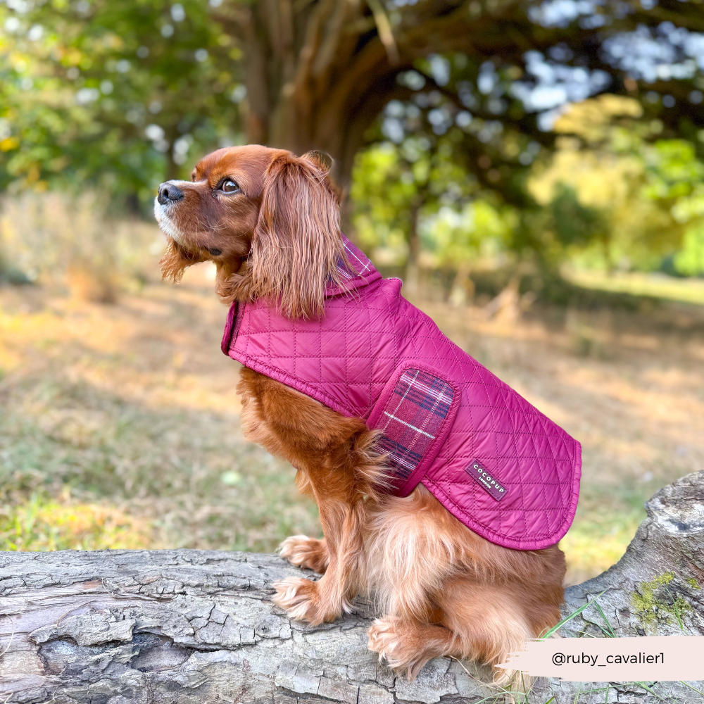 Cocopup London - Wholesale Pet Coat - Dog - LUXE Quilted Dog Coat - Mulberry Plaid7
