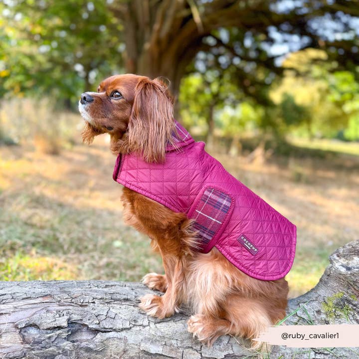 Cocopup London - Wholesale Pet coat – Dog - LUXE Quilted Dog Coat - Mulberry Plaid7