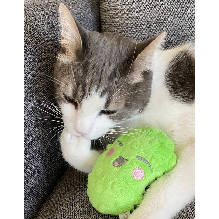 Screaming Pickles - Vente Jouet couineur – chien - Jouets pour animaux de compagnie faits à la main - Catnip/Dog Squeaker Mini Pickle13