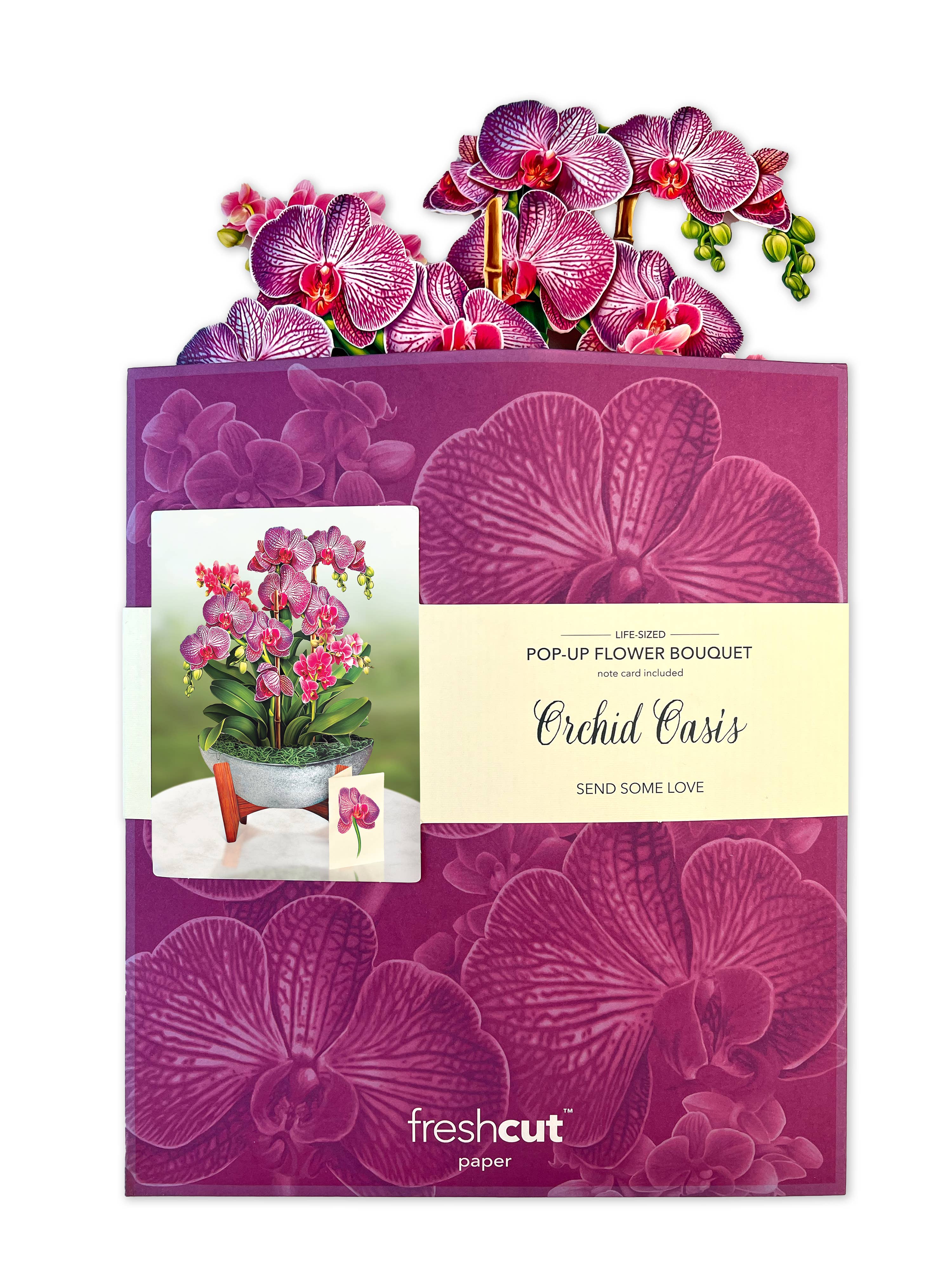 FreshCut Paper LLC - Wholesale Everyday greeting card - Orchid Oasis (8 Pop-up Greeting Cards)7