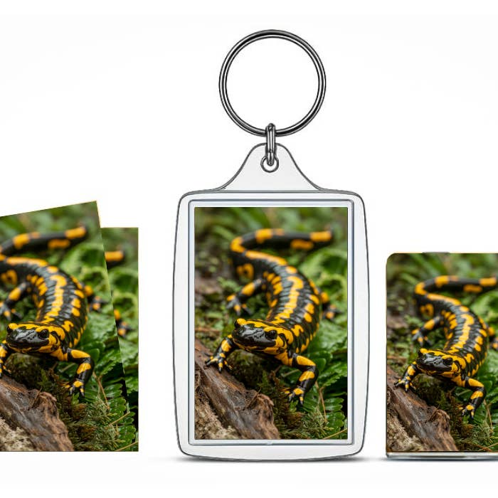 AB Crystal Collection - Wholesale Keychain - Unisex - Fire Salamander Souvenir Gift β Austria Wildlife Keepsake | 1