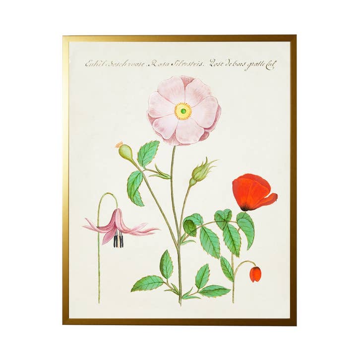 Vintage bogplade med rose for engroshandel hos Antique Curiosities Inc