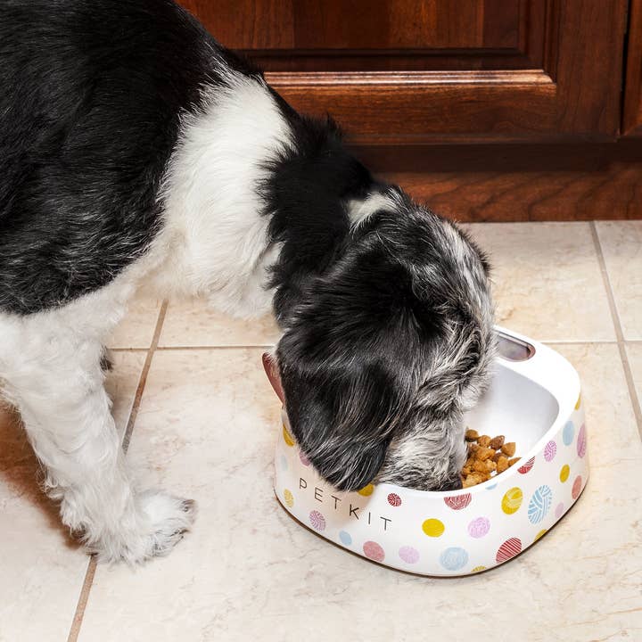 Pet Life - Wholesale Pet Bowl - Cat/Dog - Petkit Fresh Smart Digital Feeding Pet Bowl3
