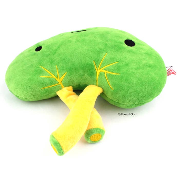 I Heart Guts | Organ Plushies Wholesale - Vente Peluche – enfant et bébé - Peluche de la rate - Lymphin' le rêve