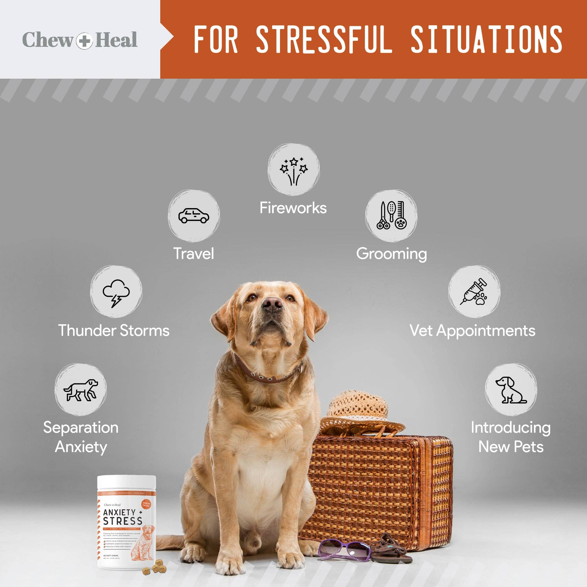 Chew + Heal - Wholesale Pet Supplement - Dog - Calming Anxiety & Stress2