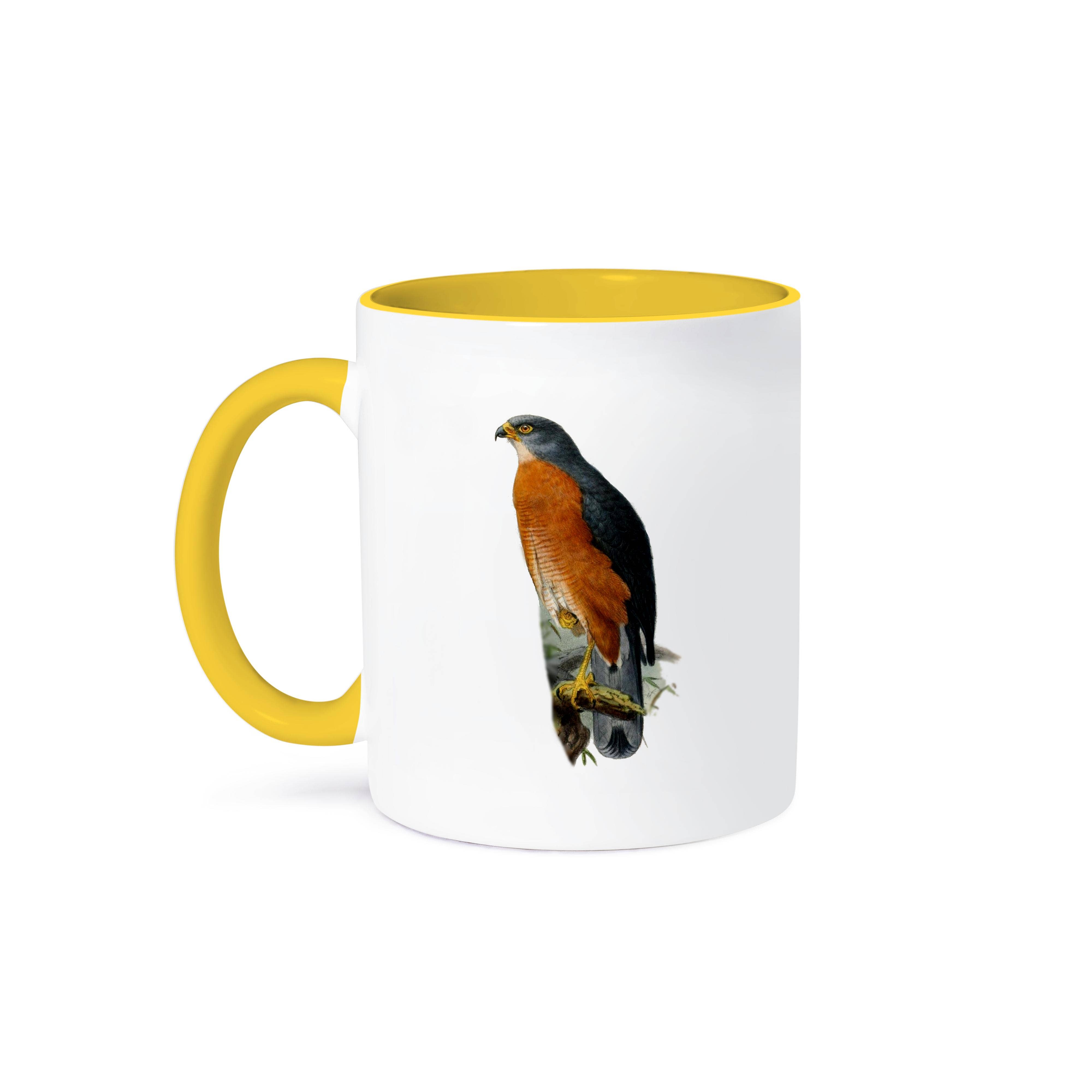 3dRose - Wholesale Coffee Mug - 3dRose, Majestic Red chested Goshawk Bird of Prey Vintage Art Hawk Hawks Birds, Mug0