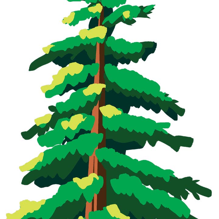 Alpine Evergreen - Été pour la vente par Boat N Co