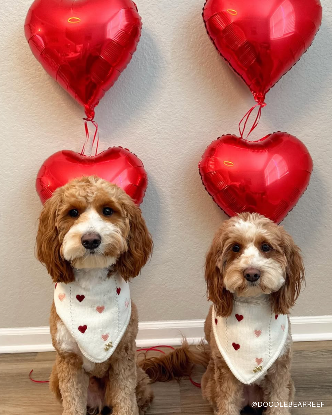 The Deluxe Pup - Wholesale Pet Bandana - Dog - BANDANA | CHÉRIE8