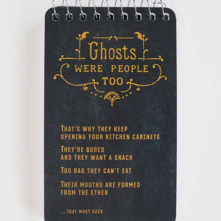 Incognito - Wholesale Notebook - PP107 Ghosts Were People Too 3x5 Spiral Notebook