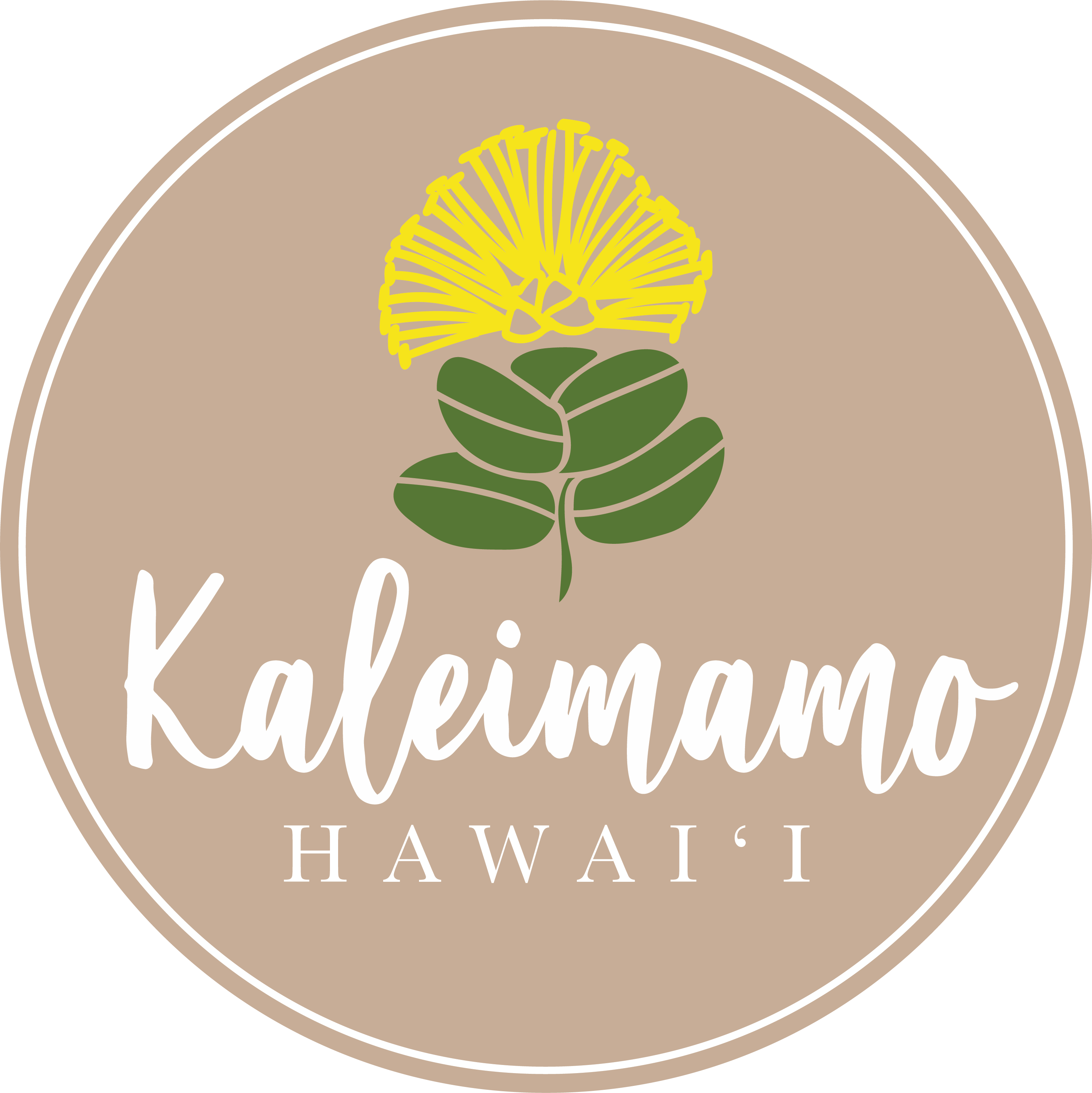 Pale Maʻi (Undies) – Kaleimamo Hawaiʻi