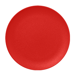 RAK Porcelain USA - Wholesale Dinner Plate - Neo Fusion Flat Coupe Plate - Ember (12.2"D)0