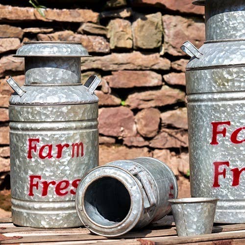 Zaer Ltd. International - Vente Pot - Pot à lait galvanisé en couleur crème, 3 tailles différentes, 2 couleurs10