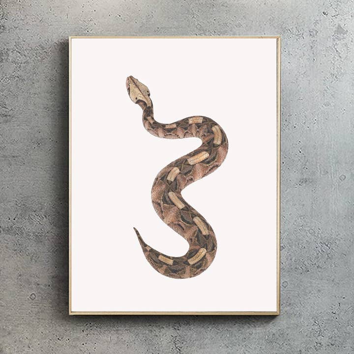 Gaboon viper - A2 Print (portrait) for wholesale by Hidden Planet