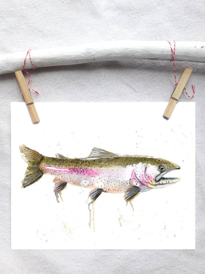 Ferskvandsfisk Regnbueørred Art Print for engroshandel hos Lindsey Munson