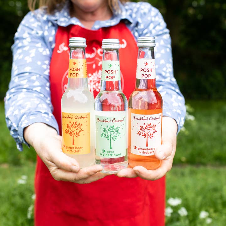 Breckland Orchard – wholesale Soda/carbonated drink – Ginger Beer with Chilli Posh Pop 12 x 275ml