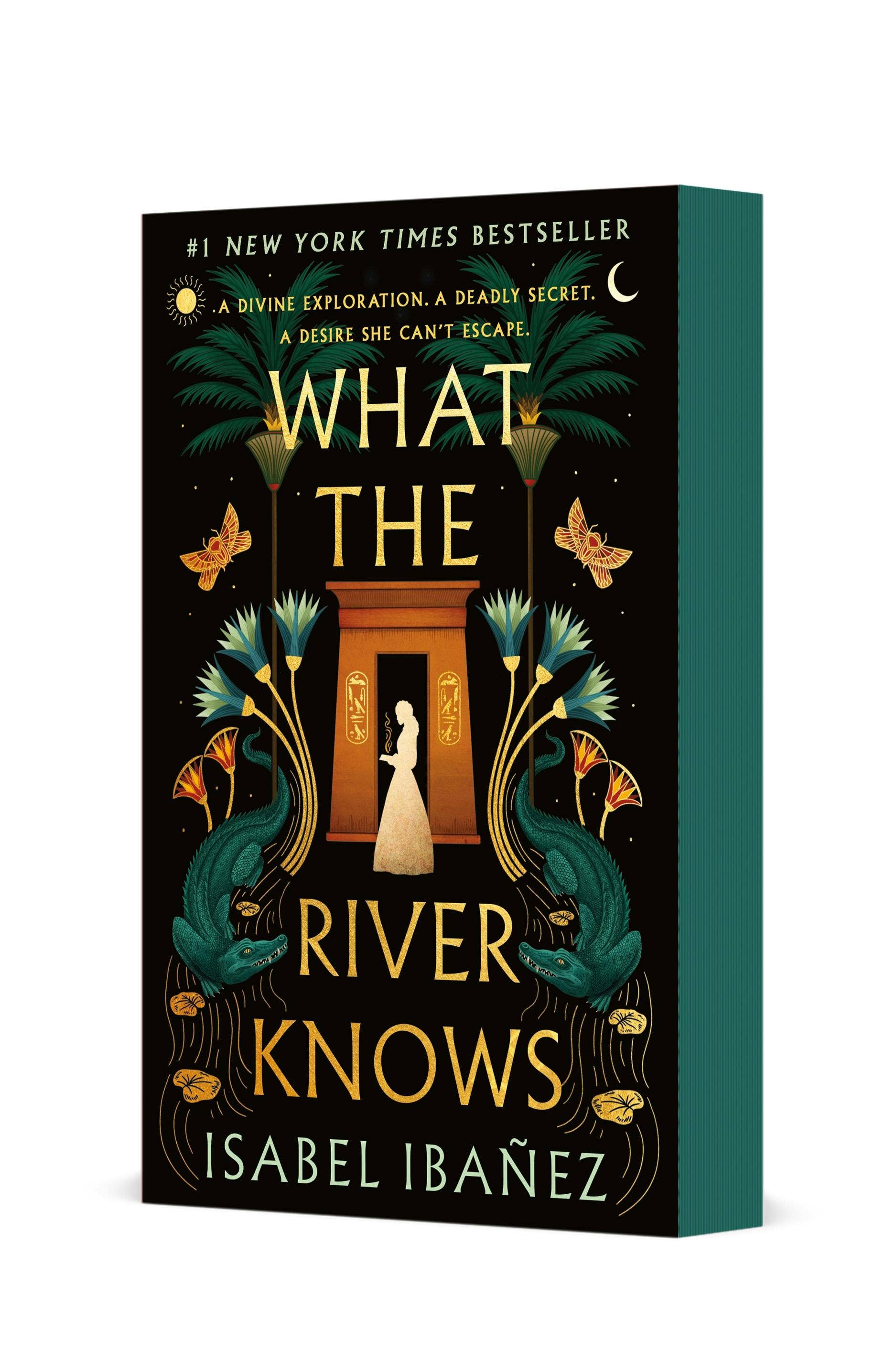 Macmillan Publishers - Wholesale Historical Fiction - What The River Knows (Spryd Edge): A Novel0