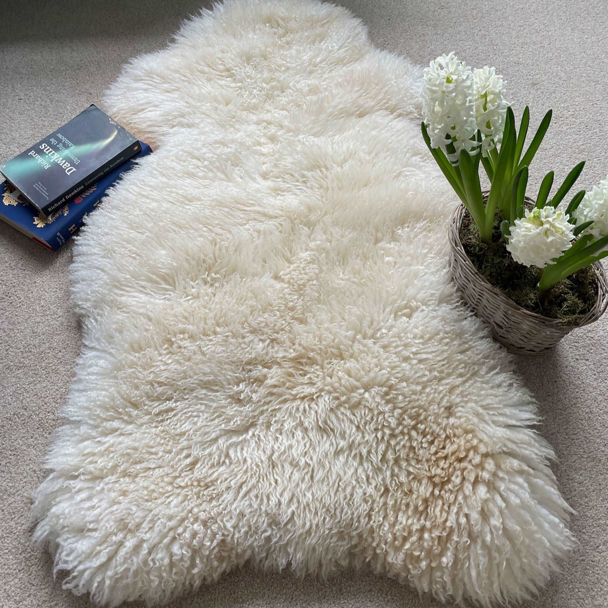 Wildash London - Wholesale Area Rug - British Curly Sheepskin Ivory Cream White 100% Natural Sheep Skin Rug1