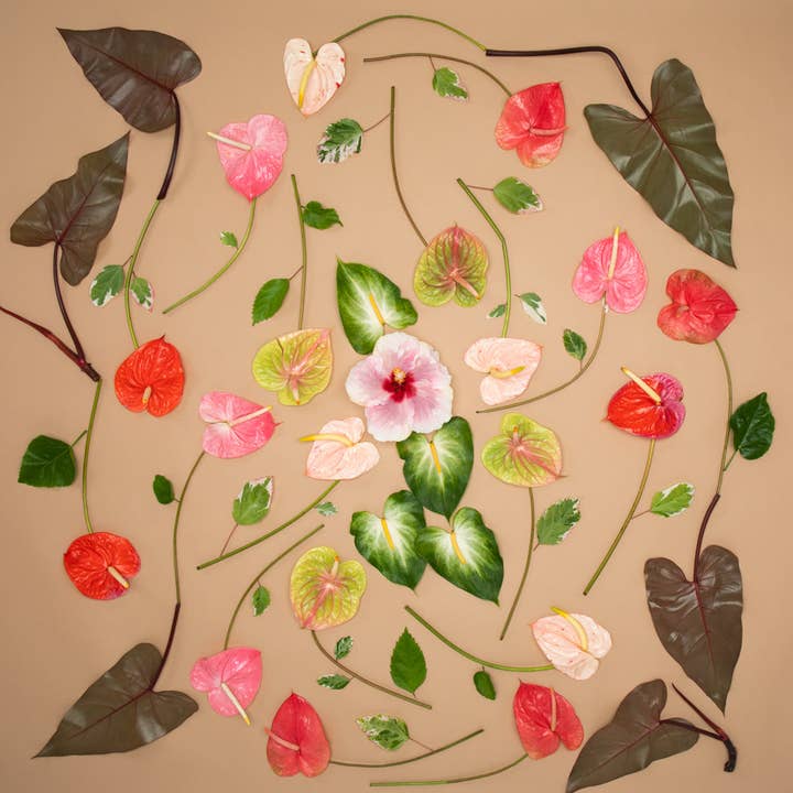 Pualani Guld for engroshandel hos Lola Pilar Hawaii