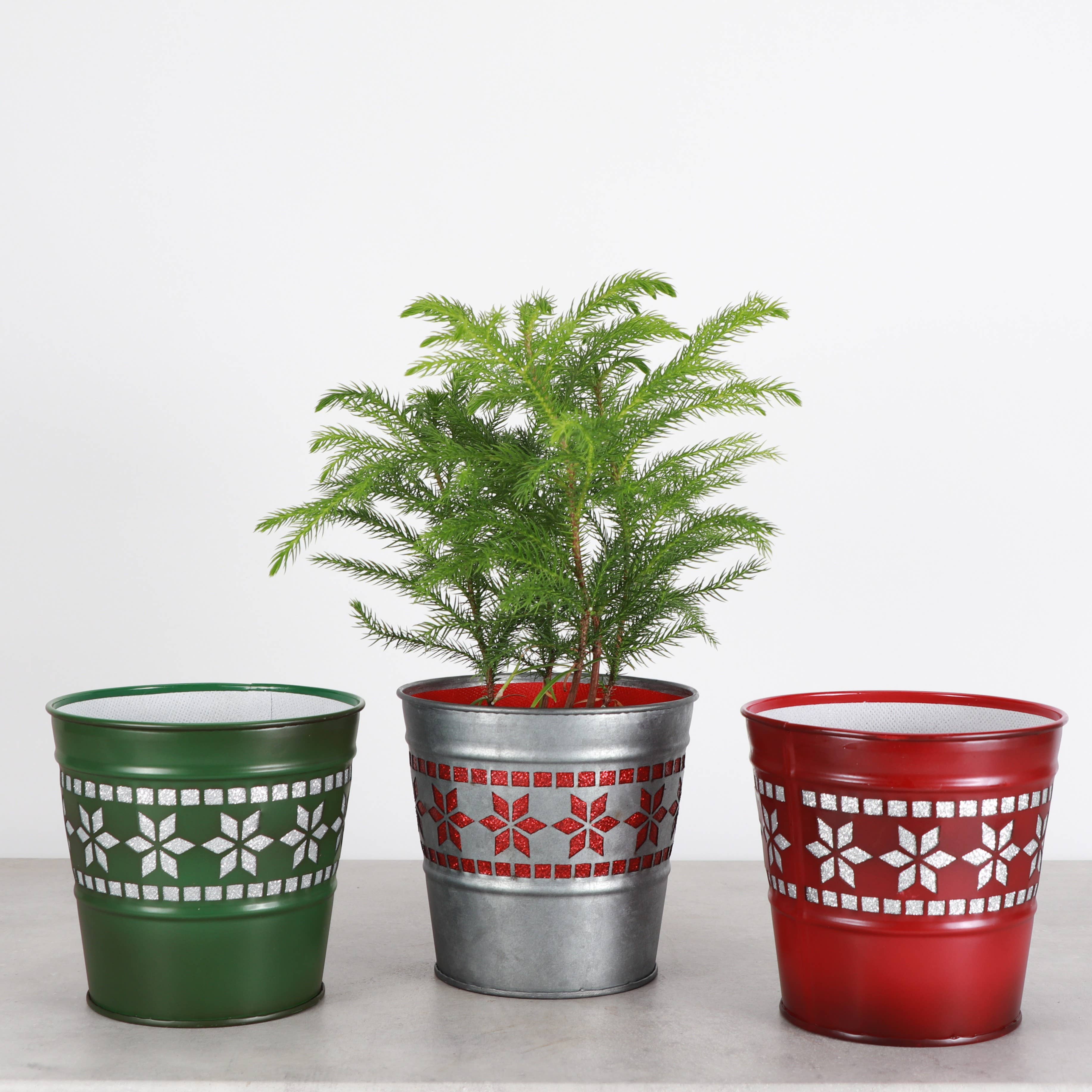 Thorsen's Greenhouse - Wholesale Plant Pot - Winter Star Metal Pot for Houseplants - 4" and 6" Options7