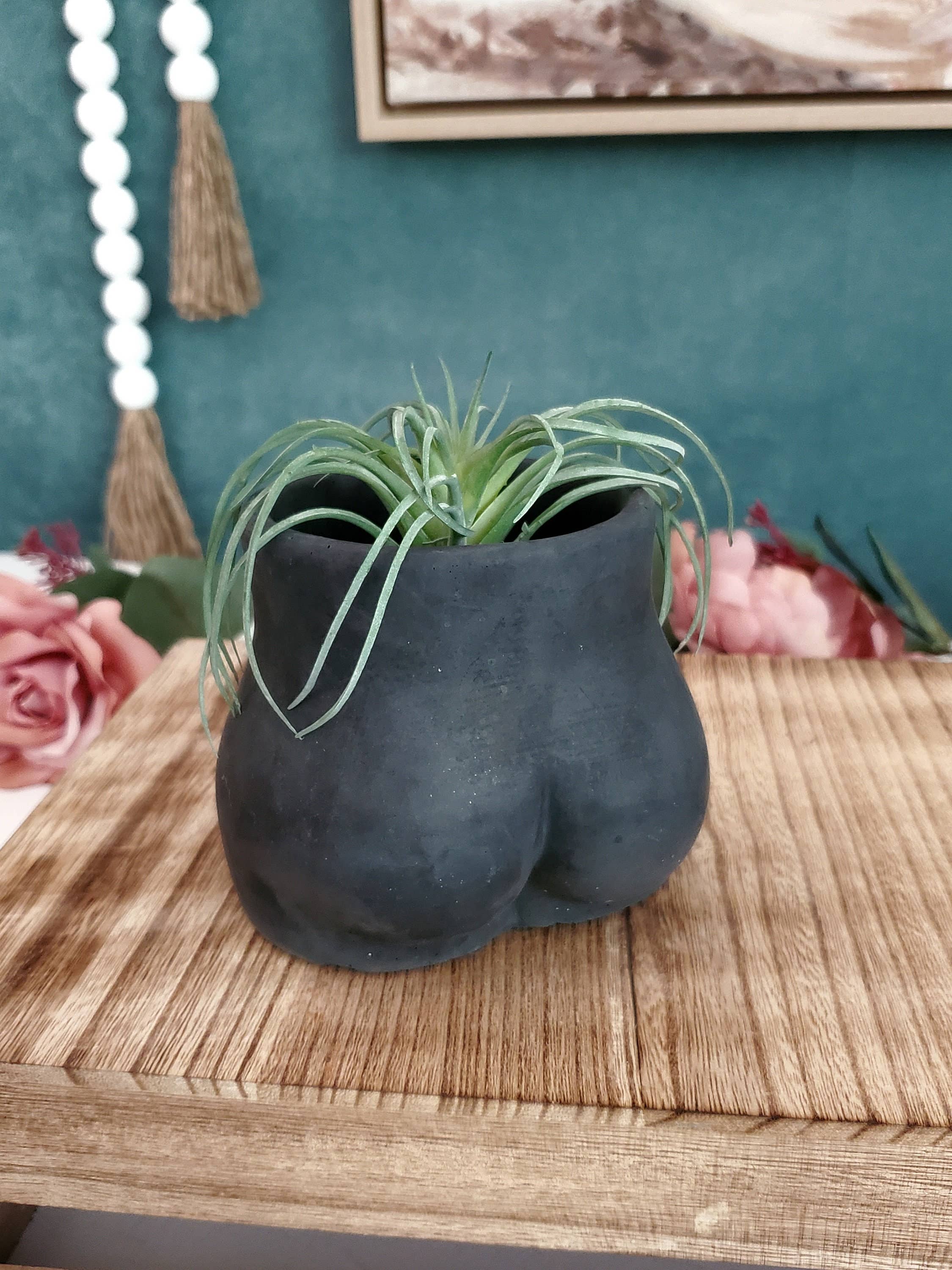House Americana - Wholesale Plant Pot - Butt Booty Concrete Planter Pot With Drainage0