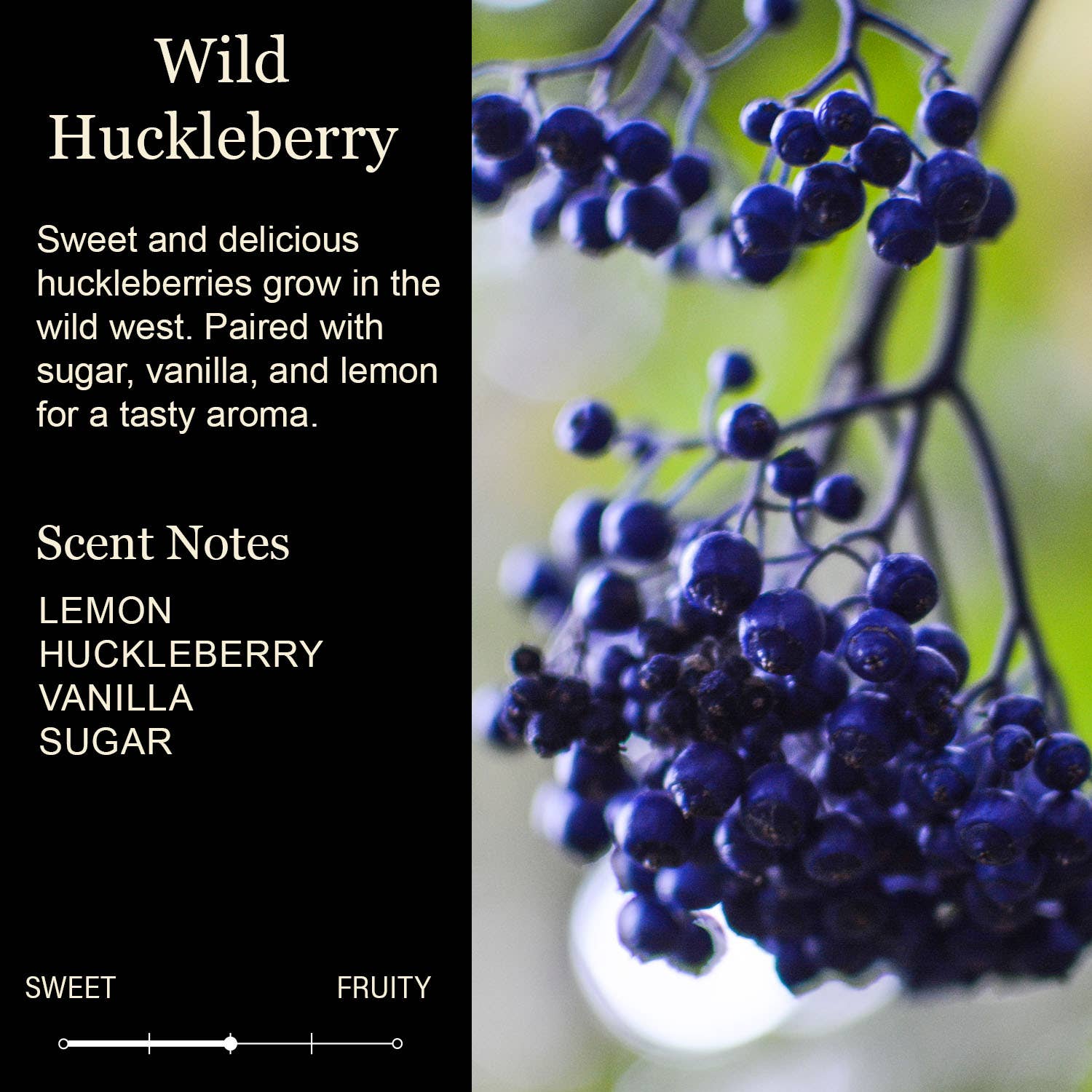 Cedar Crate Market - Wholesale Jar/Filled Candle - Don't Let Anyone Treat You Like Free Salsa Soy Candle1