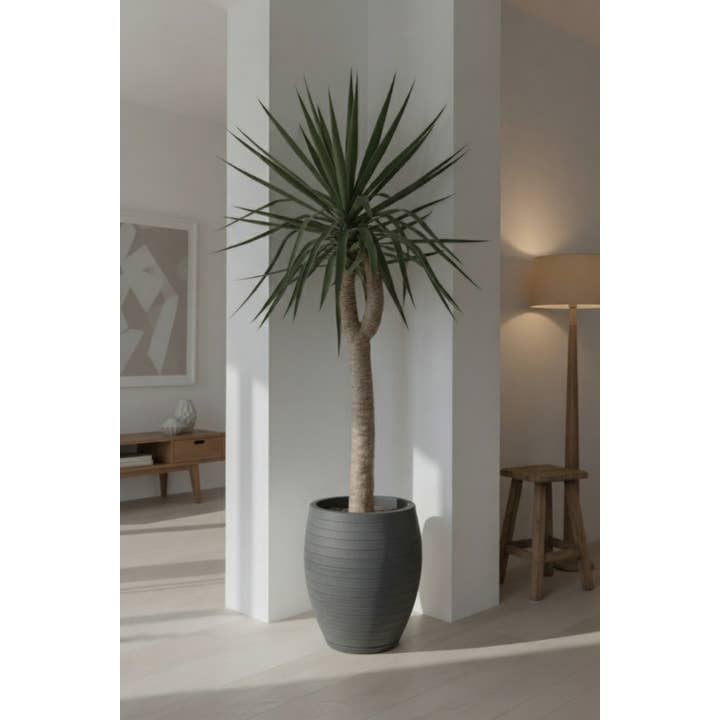 Ecobo - Wholesale Plant Pot - Ravina Pot Planter1