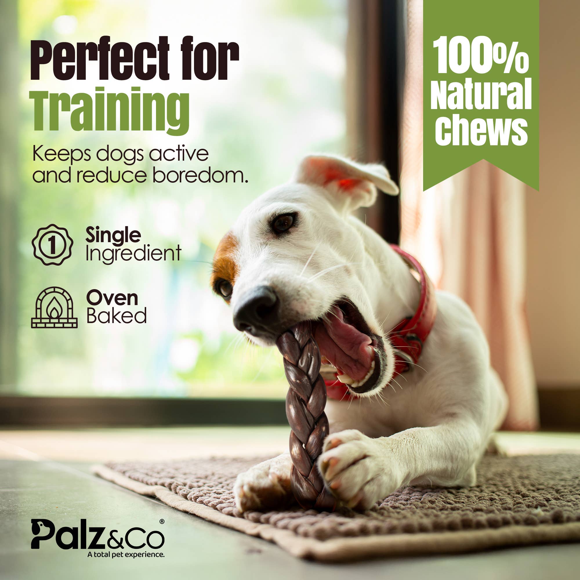 Palz&Co - Wholesale Pet Treats - Dog - Moodog Beef Braided Gullet 8" - Pack of 23