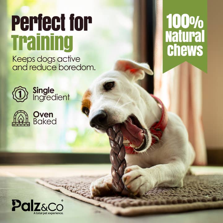 Palz&Co - Wholesale Pet Treats - Dog - Moodog Beef Braided Gullet 8" - Pack of 23