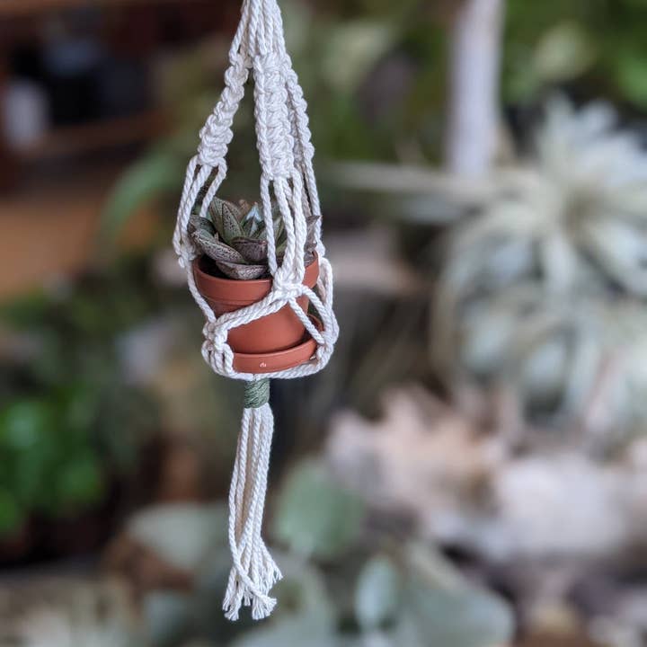 Leaf and Cord - Wholesale Hanging Planter - Mini Macrame Plant Hanger9