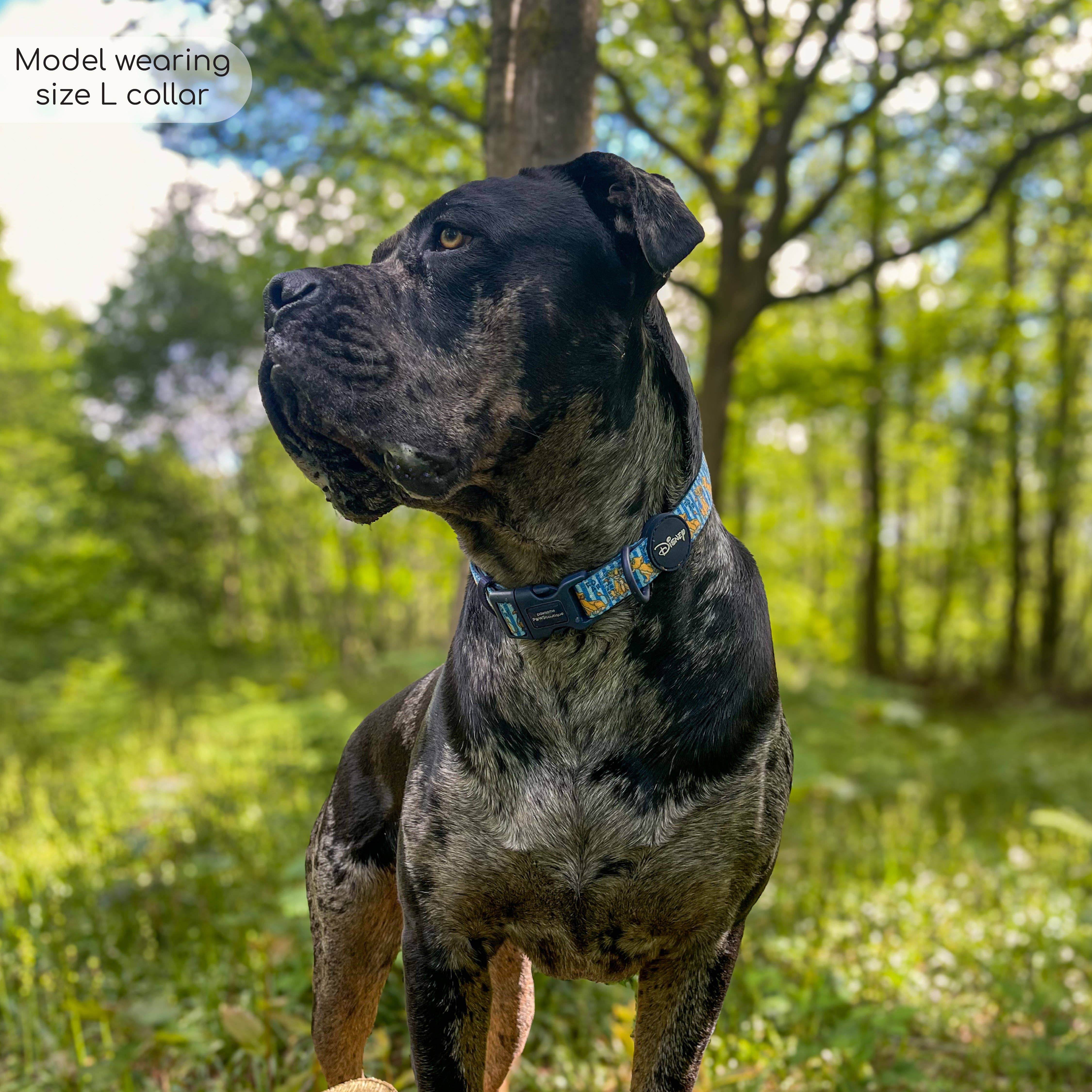 Pawsome Paws - Wholesale Pet Collar - Dog - Disney© Collar - Simba6